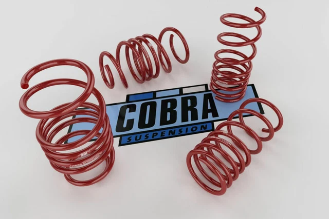 Ressorts Courts COBRA Pour Alfa Romeo Alfetta 116 (1974-84) -40mm - NEUF