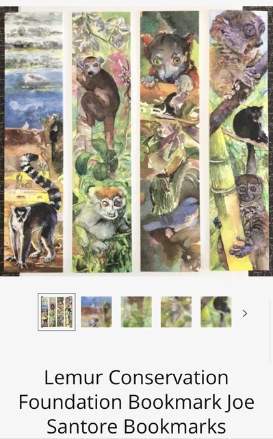 Lemur Conservation Foundation Bookmark Joe Santore Lemur Bookmarks 2013 (4 pack)