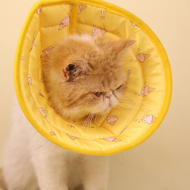 Nastro di fissaggio cono animale domestico antimorso collare protettivo cane cono collo leggero