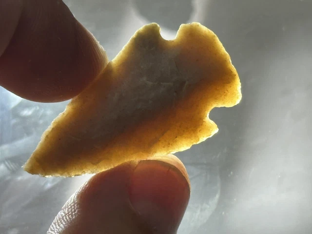 Amazing Translucent Williams Corner Notch From Texas Arrowhead Lasalle Co Tx