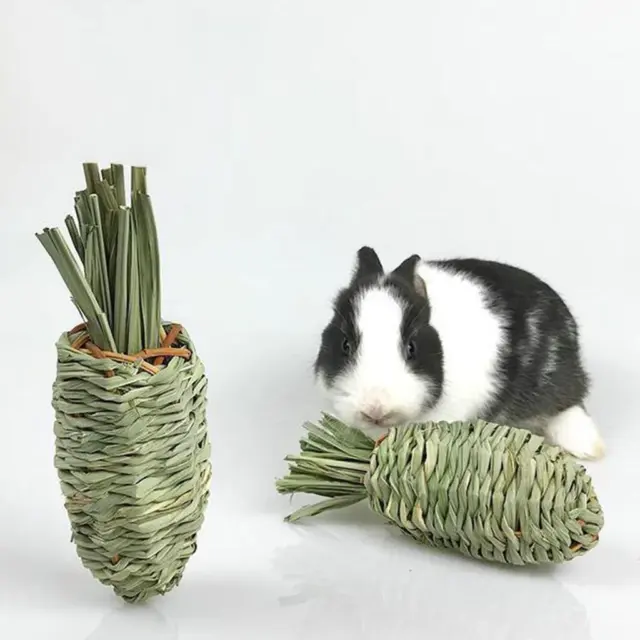 Rabbit Chew Toy Grass Nibble Toy Woven Pet Radish Molar Toys for Guinea Pigs