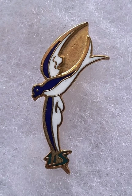 Insigne Broche Alpinisme Skis & Piolet au | France