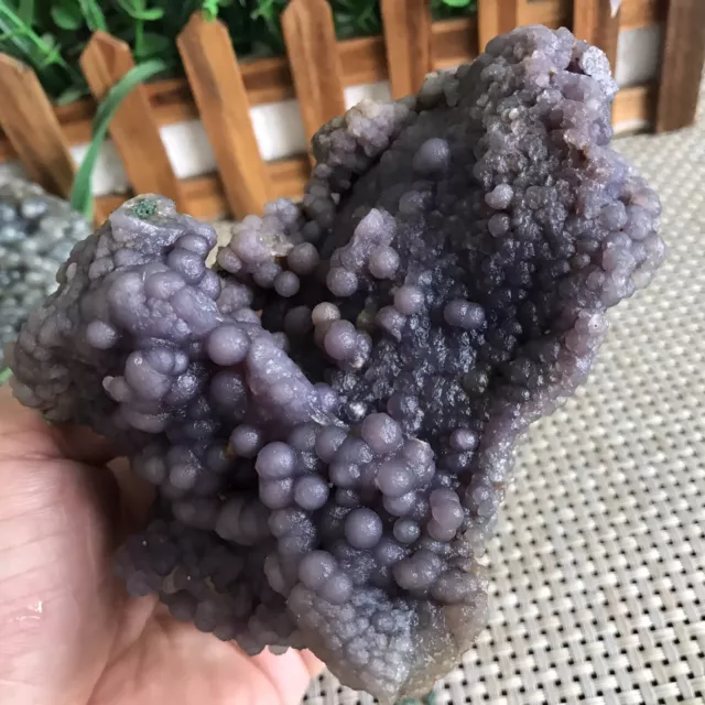 506g Natural green +purple chalcedony grape agate crystal specimen Indonesia 03