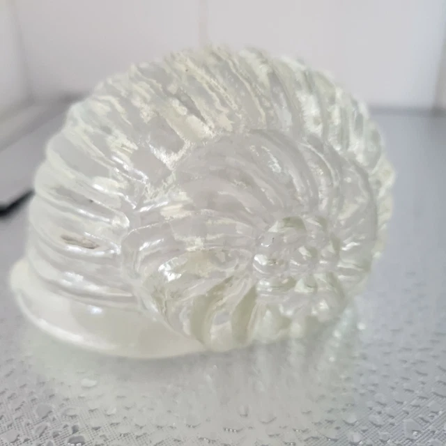 Clear Glass Sea Shell paperweight nautical ocean coastal seaside office