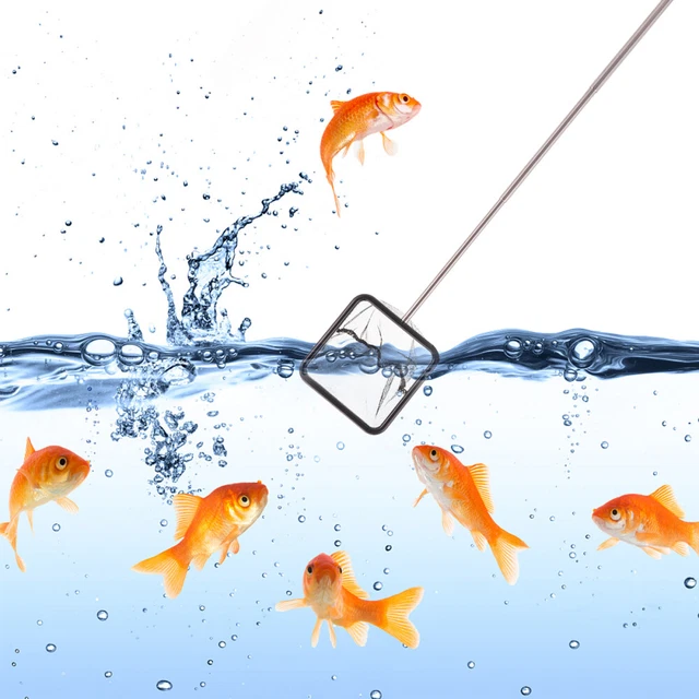 Net pour réservoir, 1 pc extensible aquarium filet avec aquarium net à poignée