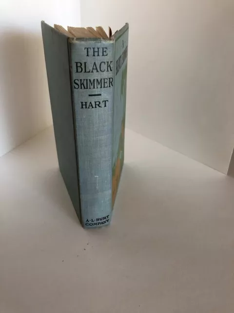 The Black Skimmer By Philip Hart 1929 Edition HC Book