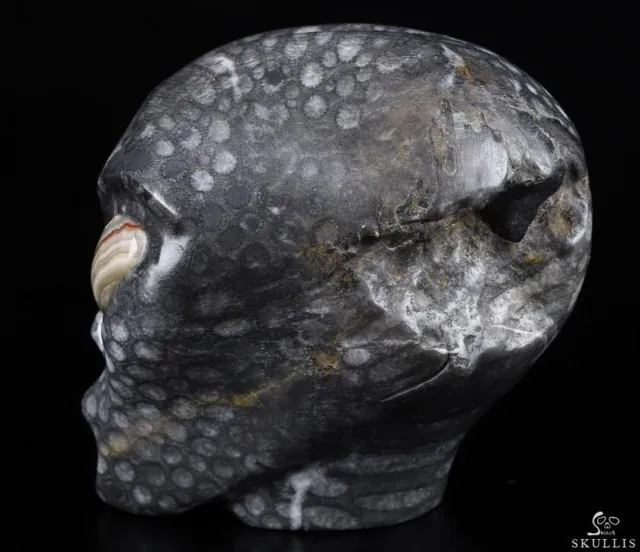 Huge 4.1" Gray Coral Fossil Female Alien Crystal Skull with Red Crazy Lace Eyes 3