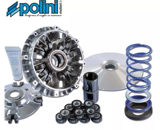 Kit Variatore Polini 241.696 Evo 3 Iii 241696 Yamaha T-Max Tmax 500 Anno 2001...