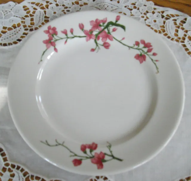 Vintage Syracuse China Restaurant Pink Cherry Blossom Flowers 7 1/4" Plate ~