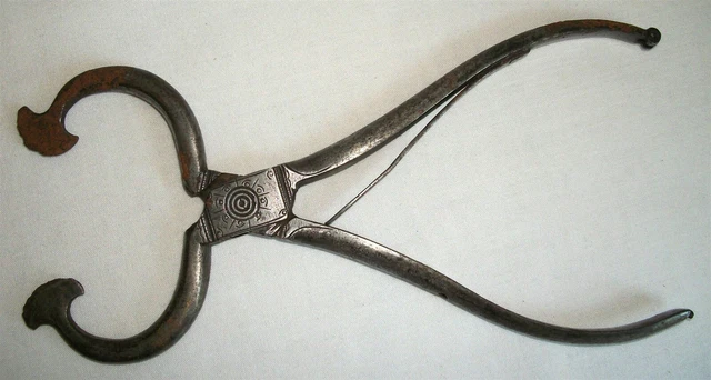 Antique Wrought Iron Sugar Nips Nippers Vintage Early
