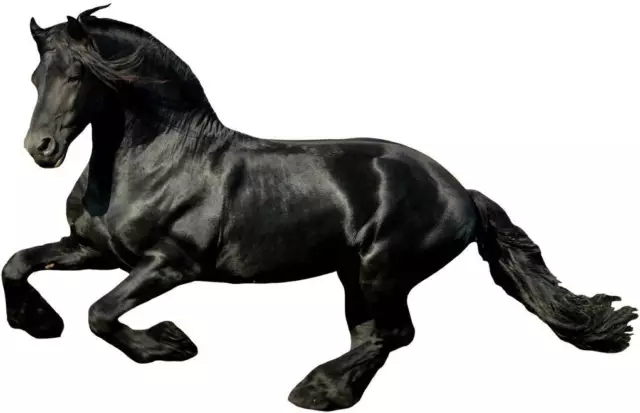 BLACK HORSE Decal Removable WALL STICKER DIY Decor Art Animals Stallion Huge