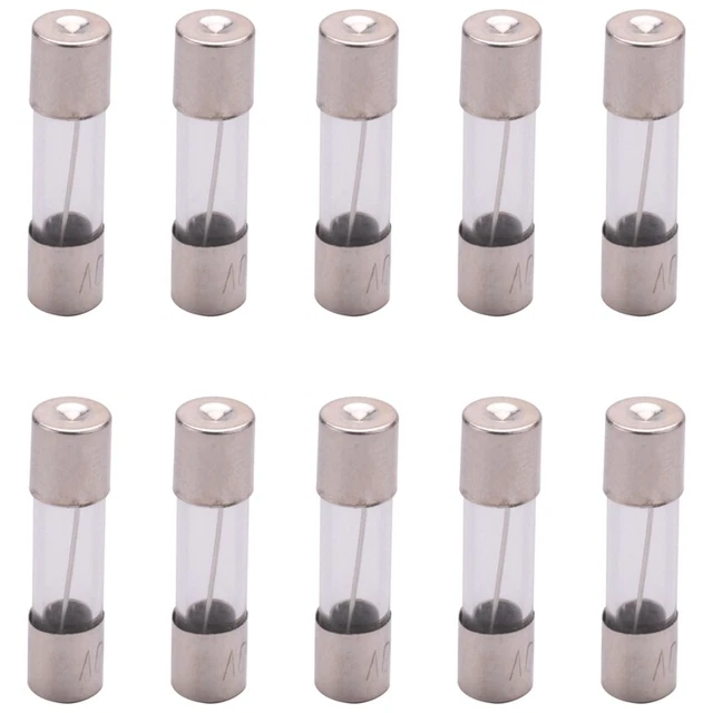 10 Pcs 250V 10 Amperes Coup lent Temporisation tuyau de Fusibles en verre 5mm D1