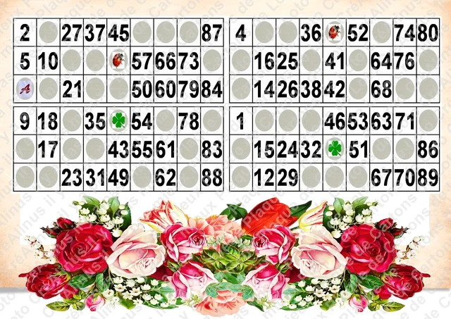 PLAQUE DE 4 cartons de loto plastifier 100 microns par face neuf A4