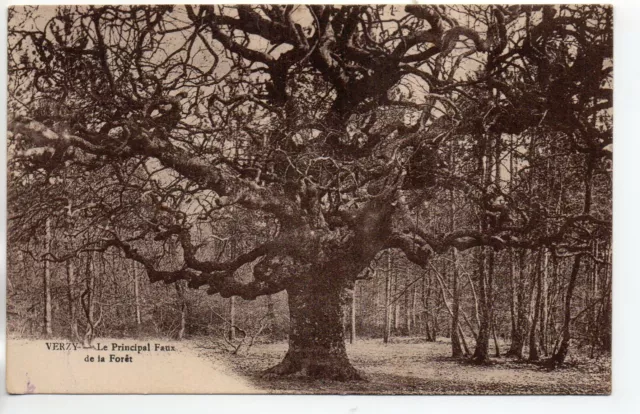 VERZY - Marne - CPA 51 - Tree - Curiosity - a fake in the forest 7