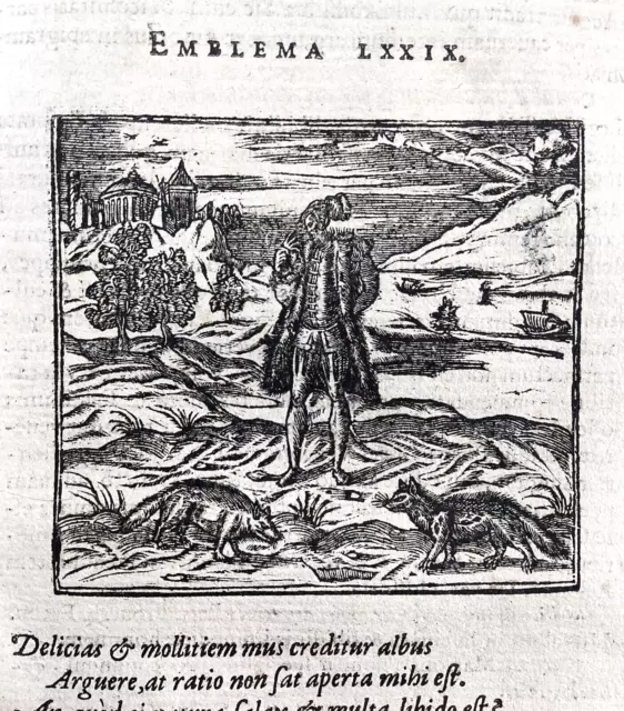 Libertinage en 1614 Civette Gravure Souris Emblème Alciati Emblemata Civet