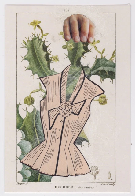Mail Art David Greenberger "Fright Wig" original collaged postcard 2023