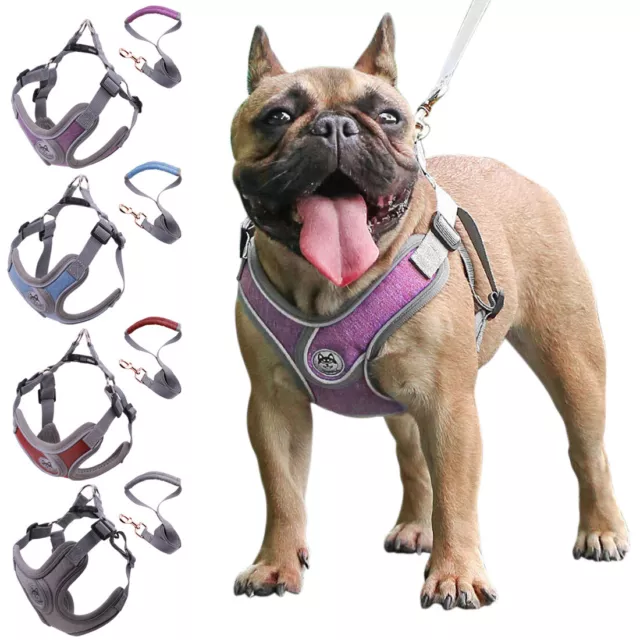 Breathable Soft Mesh Small Dog Cat Pet Vest Harness and Leash Set Puppy Walking