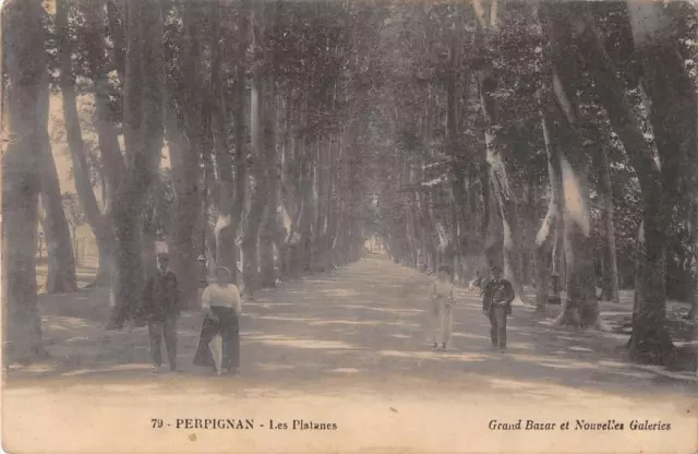 Cpa 66 Perpignan Les Platanes