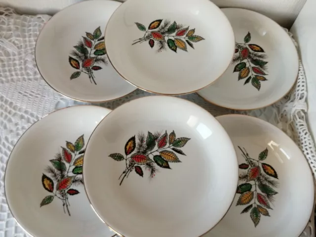 6 Assiettes Demi-Creuses Faïence Digoin Sarreguemines "Sous Bois" Old Plates Fr