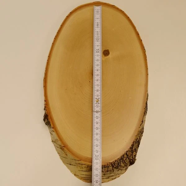 Abedul Gamo Af 30 CM Dam Ciervo Placa Escudo de Trofeo Baumschild Nuevo 2