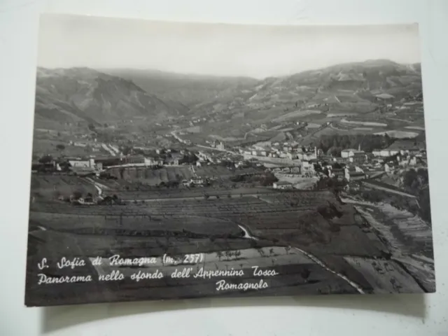 Cartolina Viaggiata "S. SOFIA DI ROMAGNA Panorama"  1955