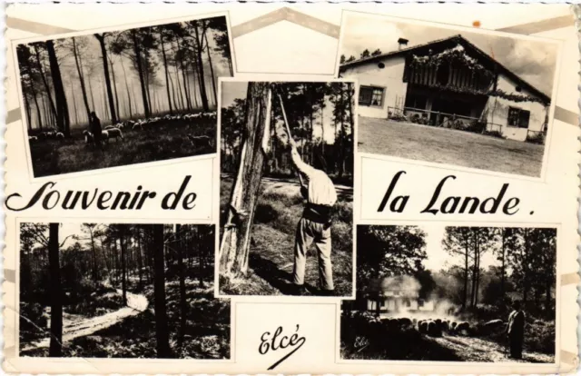 CPA AK Souvenir de la Lande FRANCE (1280829)