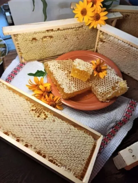 Ukrainian natural honeycomb organic honey in frames apiary harvest 2023