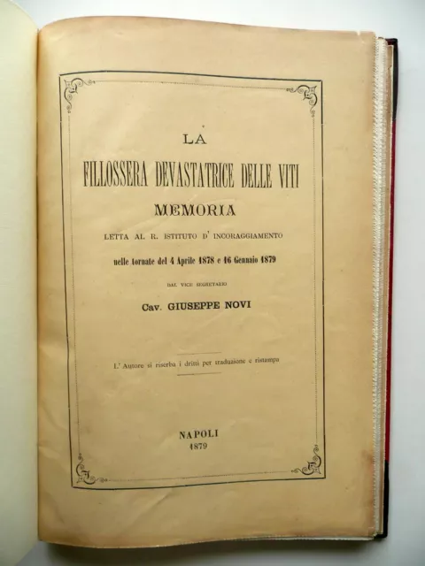 La Filossera Devastatrice delle Viti Memoria Giuseppe Novi G. Nobile Napoli 1879