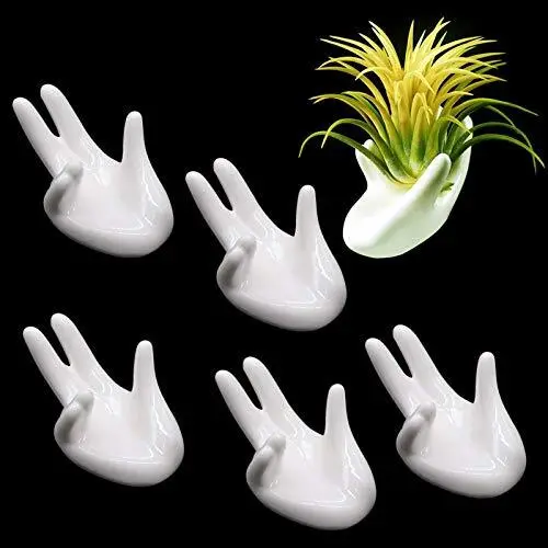 6 Pack Ceramic Air Plant Stand Holder Hand Shape Tillandsia Airplant Containe...