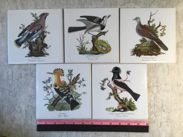 5 H & R Johnson Tiles England Ceramic Tile Wild Birds 6" X 6"  Starling, Dove +
