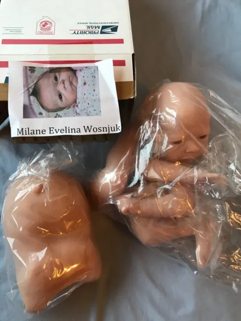 Reborn Unpainted Doll Kit Milaine By Evelina Wojnuk Includes Belly Plate