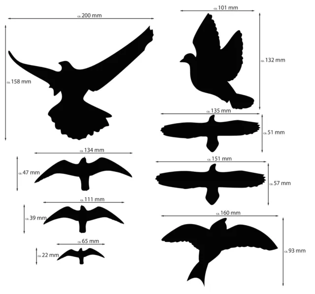 Aufkleber Fenster Vogelschutzaufkleber verschiedene Vögel und Größen 8er Bogen 2