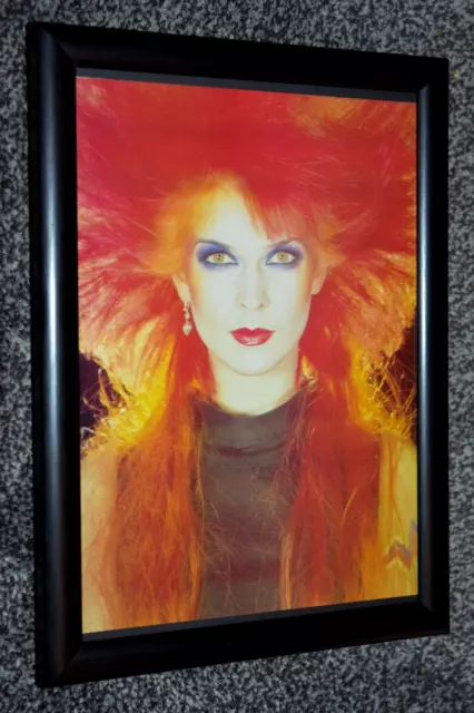 TOYAH wilcox band framed A4 original promo ART picture portrait poster