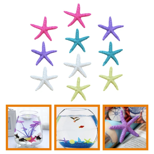 10pcs Simulation Ocean Animal Models Landscape Sea Star Decor Sea Star Modèles