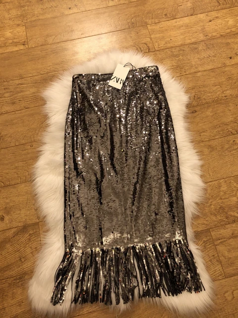Silver fringe skirt zara on sale
