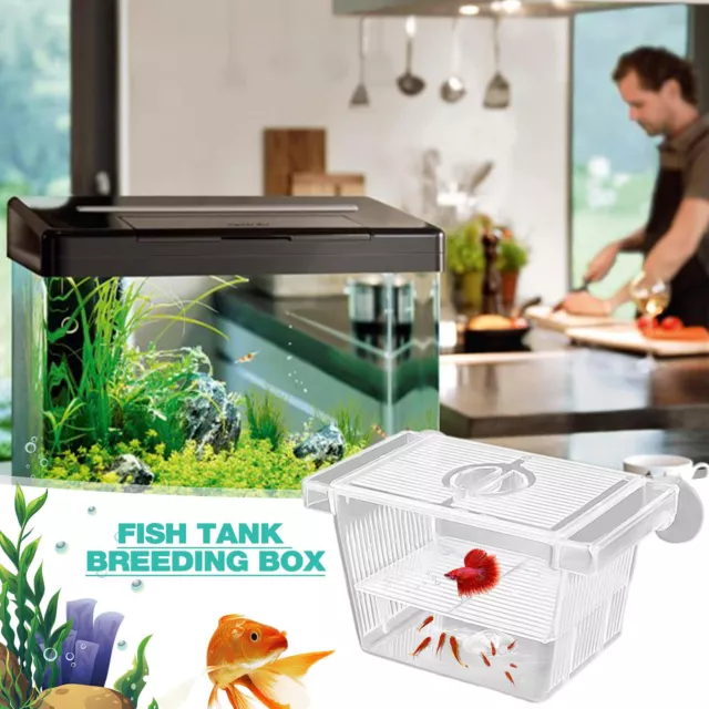 Acrylic Fish Breeding Isolation Box Betta Fish Aquarium Breeder Fish Tank Hatch 2