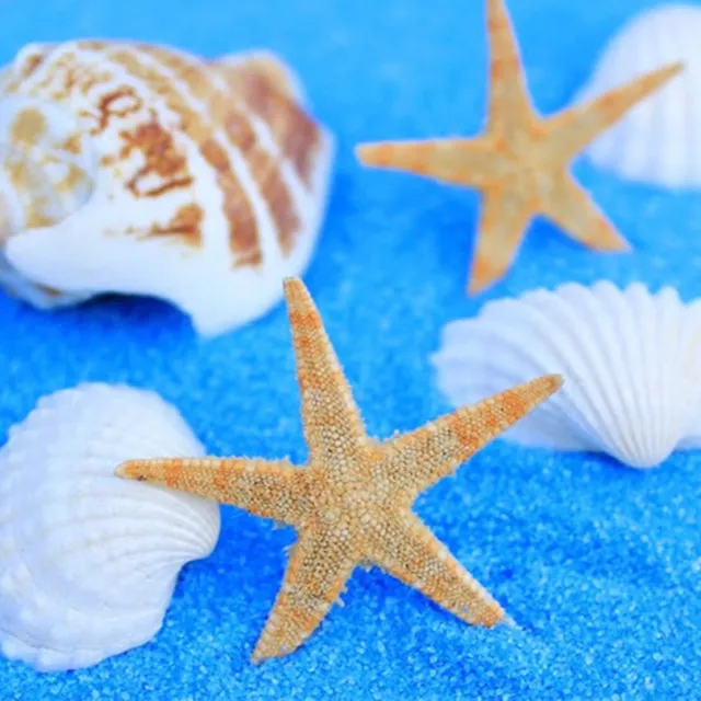 100 x,Mini Natural Flat Tan Starfish Seashells Fit For Beach Micro Landscape gl