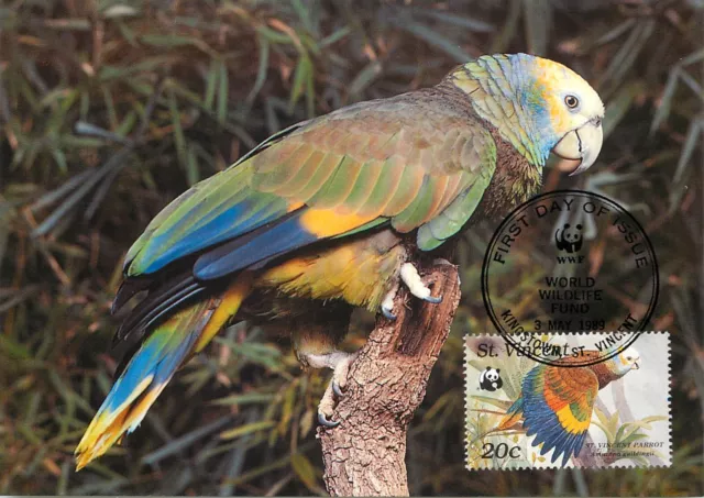 E0008 WWF Maximum Card 1989 Fauna Birds St. Vincent Parrot