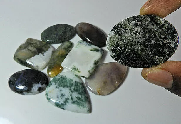 AA++ 292Cts.Natural Tree Moss Agate Mix Cabochon Loose Gemstone 09Pcs Lot