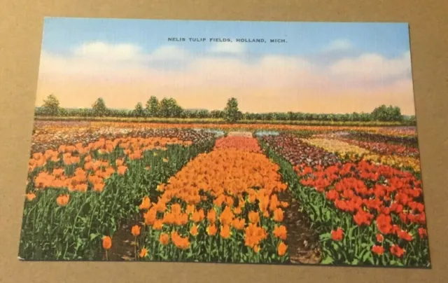 Vintage Unused  Linen Postcard  Nelis Tulip Fields Holland  Mich.