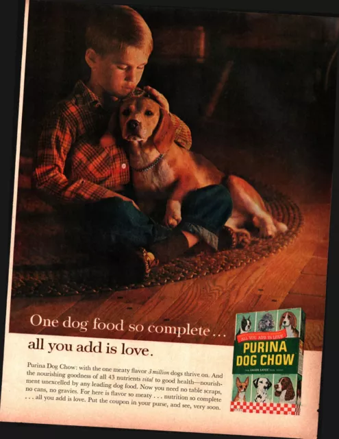 1963 beagle & boy photo Purina Dog Chow vintage print ad NOSTALGIA c6