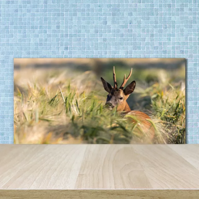 Küchenrückwand Spritzschutz aus Glas 100x50 Deko Tiere Hirsch