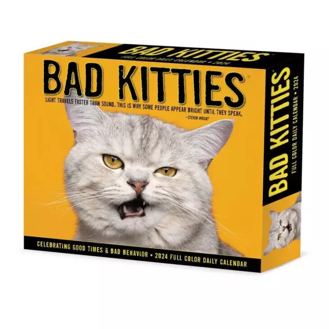 Willow Creek Bad Kitties 2024 6.2" x 5.4" Box Calendar w