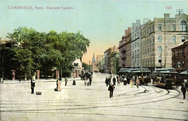 PC CPA US, MA, CAMBRIDGE, HARVARD SQUARE, VINTAGE POSTCARD (b8236)