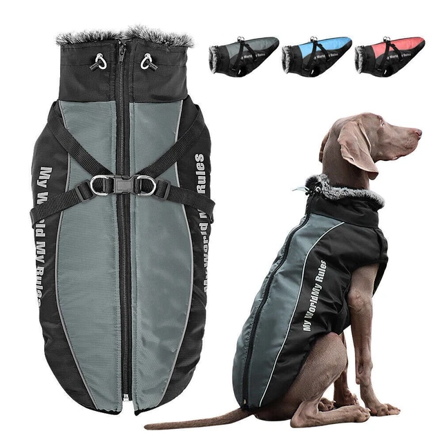Hundemantel Winter Grosse Hunde