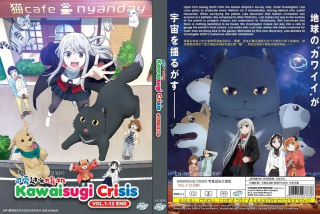 The Marginal Service (1-12End) Anime DVD English subtitle Region