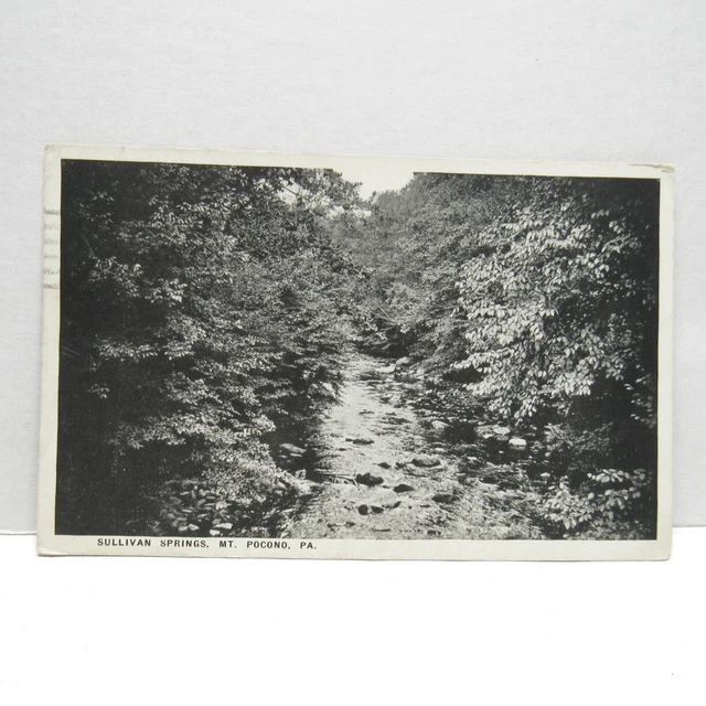 Postcard Vintage Postmarked 1926 Sullivan Springs Mt Pocono Pennsylvania Nature