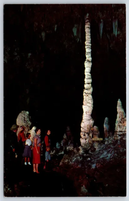 Postcard Totem Pole, Carlsbad Caverns National Park, New Mexico Unposted