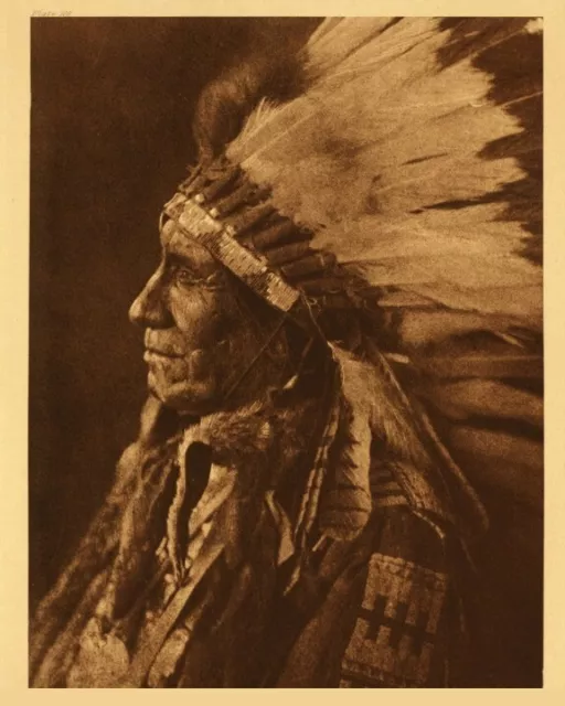 Indian Chief American Horse T shirt Transfers Iron On 8 x 10 Lite/ Dark Fabric