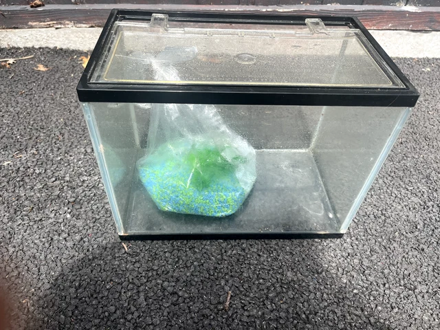 Small Glass Aquarium Fish Tank 25cm High x 18cm deep x 31cm wide, Stones & Tree
